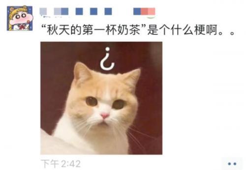 立秋的第一杯奶茶是什么意思(立秋的唯美句子)插图4