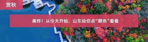 曲阜免费景点排名前十(曲阜好景点排名第一)插图14