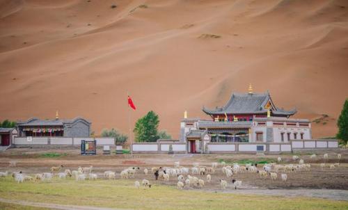 全国沙漠旅游排名前十(去沙漠旅游的心情句子)插图17