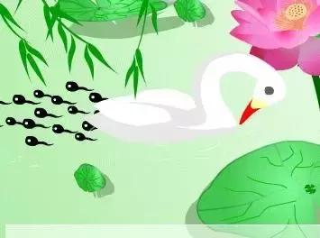 小蝌蚪找妈妈儿歌(儿歌采蘑菇的小姑娘)插图3