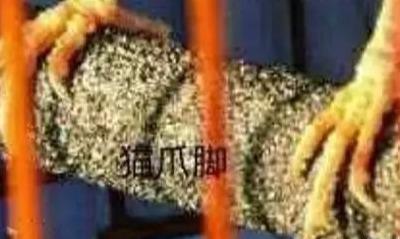 画眉鸟的图片(母画眉鸟叫声)插图21