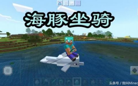 我的世界海豚(钻石傀儡vs循声守卫谁厉害)