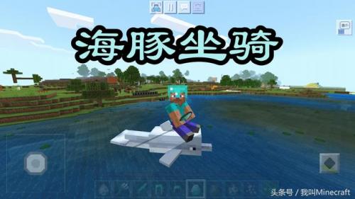 我的世界海豚(钻石傀儡vs循声守卫谁厉害)插图
