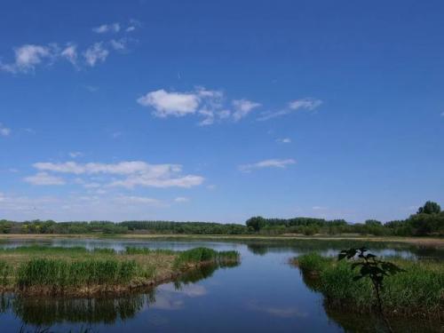 汉石桥湿地公园(游汉石桥湿地有感)插图