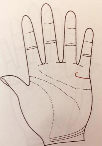 手相算命婚姻(女人最好命手纹)插图15