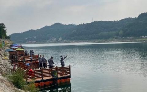 国内最真实的钓鱼游戏(钓鱼达人游戏手机版)