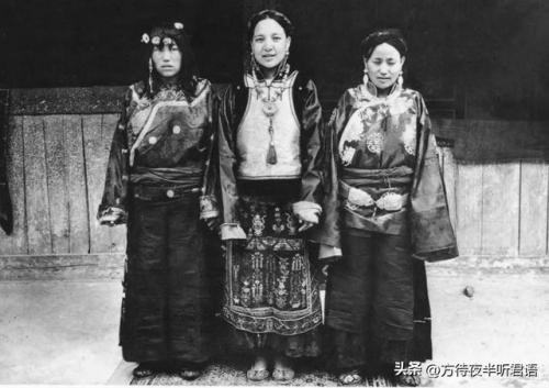 洛克王国禁忌的书房稀有宠物(50级厉害的洛克宠物)插图28