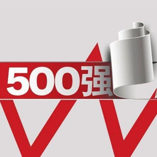 500强(2023世界500强)插图