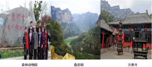 漯河砂锅美食排名前十(漯河小吃砂锅推荐)插图153
