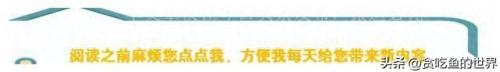 贪吃鱼游戏(贪吃鱼新号)插图