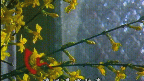 渴望 剧情(渴望免费全集)插图