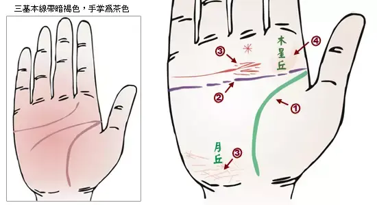 掌纹分析专家排名前十(掌纹密码书籍)插图15