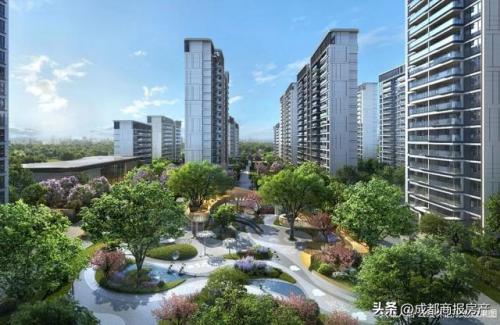 成都国贸小学排名前十(磨子桥小学在成都排名)插图4