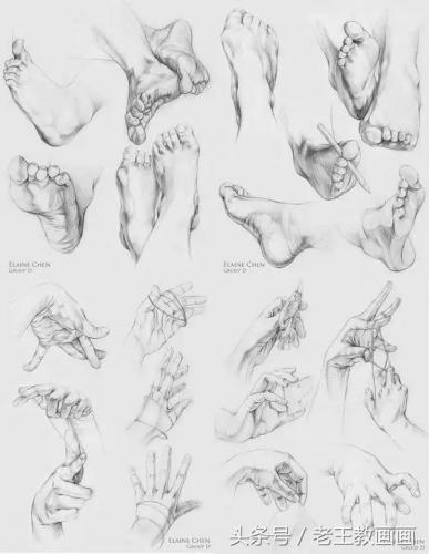 学画画零基础(附近的画画的地方培训班)插图17