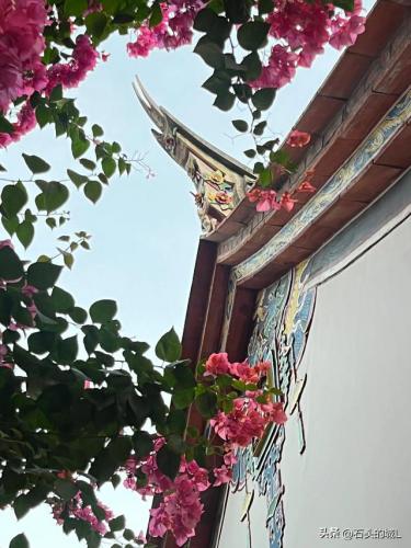 厦门建筑古厝排名前十(闽南古厝屋顶)插图8