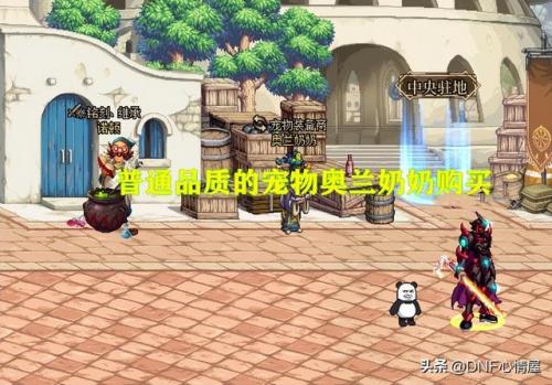 dnf宠物升级道具(100级dnf宠物升级怎么样快)插图7