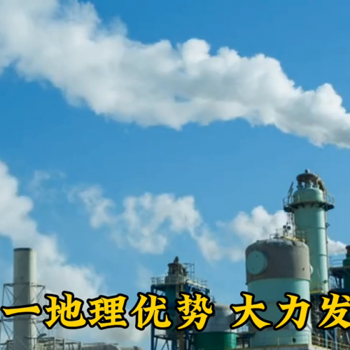 新疆染整公司排名前十(新疆有哪些著名的公司)插图1