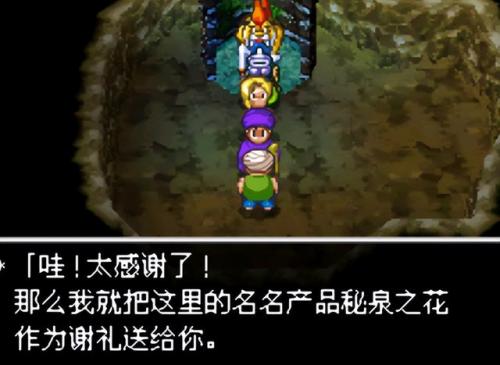 勇者斗恶龙5隐藏装备(勇者斗恶龙5最强装备道具)插图6