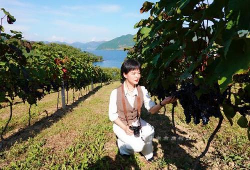 白山小众景点排名前十(白山必去景点大全)插图14