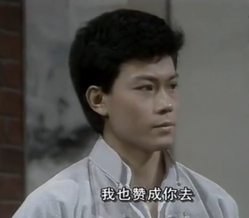 电视剧霍东阁(83版霍东阁演员表)插图12