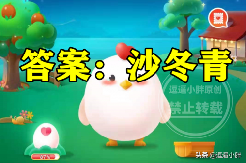 小鸡宝宝考考你哪种荒漠植物(宝可梦大探险草系精灵推荐)插图4