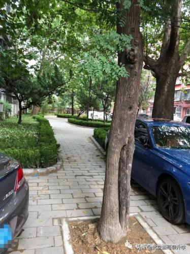 中关村优质小区排名前十(中国小区排名前100小区)插图43