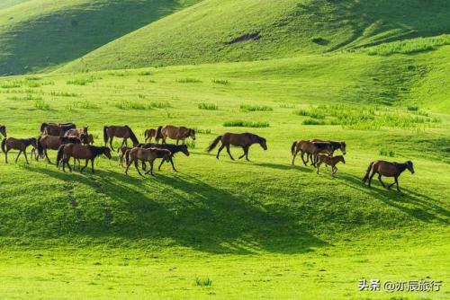 新疆秋季景点排名前十(新疆哪里旅游好)插图25
