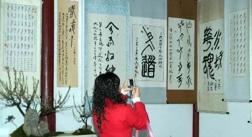 登堂入室成就(登堂入室观后感)插图1