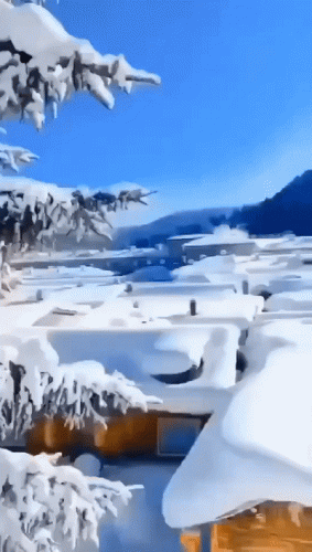 雪乡 哈尔滨(雪乡哈尔滨中央大街)插图2