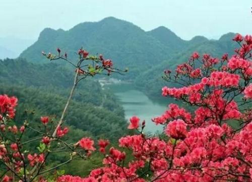 武汉旅游画廊排名前十(全球知名画廊)插图4