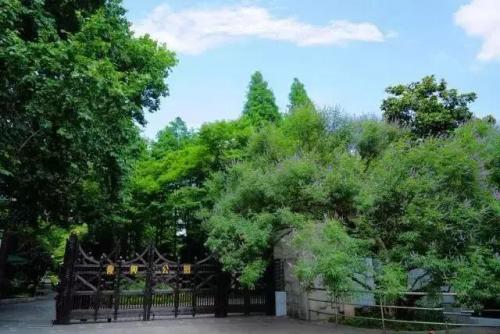 上海划船景区排名前十(上海划船的公园哪个比较好)插图6