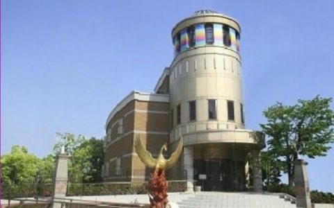火鸟汉化组游戏安卓直装(火鸟汉化安卓游戏)