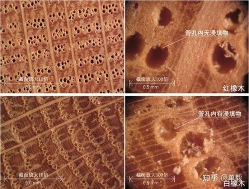 欧洲木材防水排名前十(进口防水材料品牌前十名)插图26