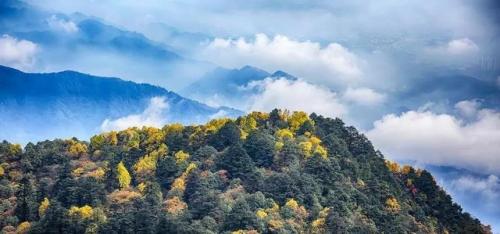 峨眉山风景图片(青城山风景图)插图6