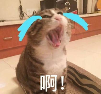盗版单机哪个平台好(现在单机游戏在哪里玩)插图10