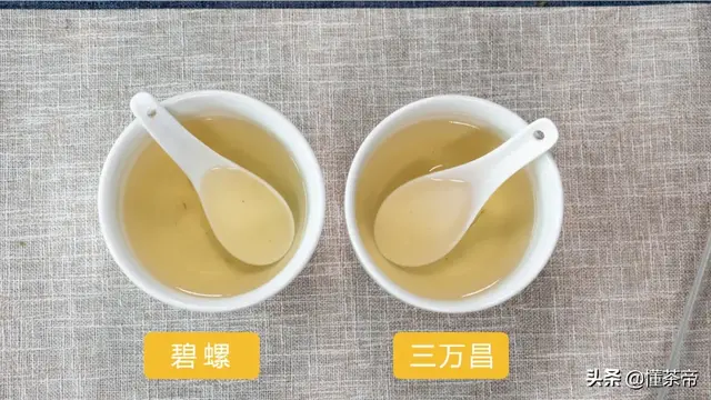 绿茶碧螺春(正宗碧螺春茶叶图片)插图7