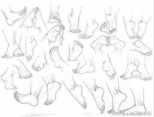 学画画零基础(附近的画画的地方培训班)插图19