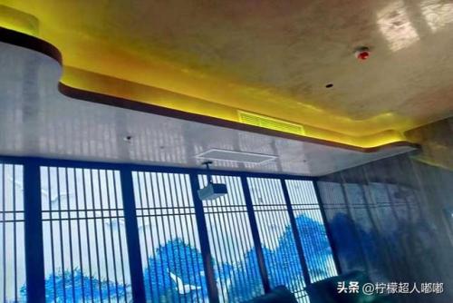 甘肃家具漆排名前十(甘肃墙漆排名前十)插图