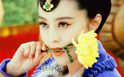 后宫三千佳丽(可以娶妻纳妾的游戏)