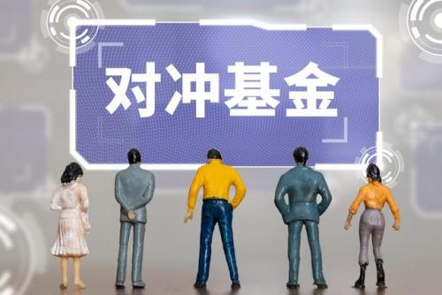 量子对冲基金排名前十(国内对冲基金有哪些)插图2