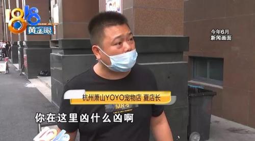 杭州犬舍排名前十(全国十大金毛犬舍)插图21
