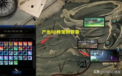 dnf宠物升级道具(100级dnf宠物升级怎么样快)