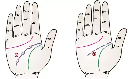 掌纹分析专家排名前十(掌纹密码书籍)插图6