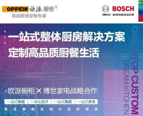 橱柜加盟哪些公司好(十大橱柜品牌加盟)插图5