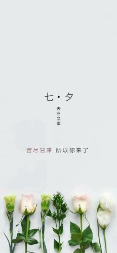 情人节的图片(情人节的图片配图大全)插图12