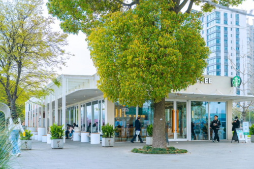 番禺宠物商场排名前十(广州宠物店)插图17