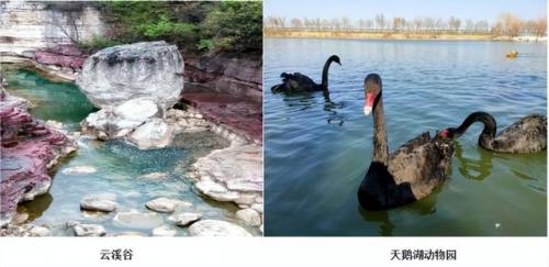 漯河砂锅美食排名前十(漯河小吃砂锅推荐)插图155