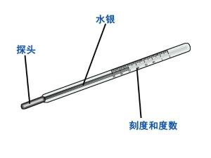 水银温度计的正确使用方法(水银体温计怎么看 教程)插图3