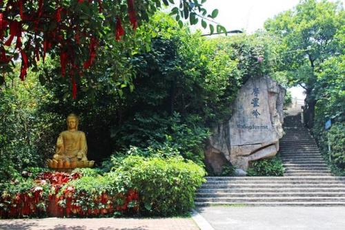 广东旅游必去十大景点(广东2-3天短途亲子游)插图4