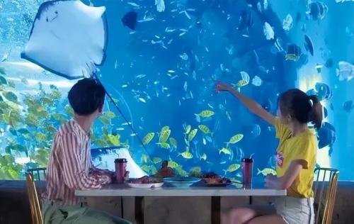 哈尔滨自拍馆排名前十(哈尔滨最好的回民馆)插图43